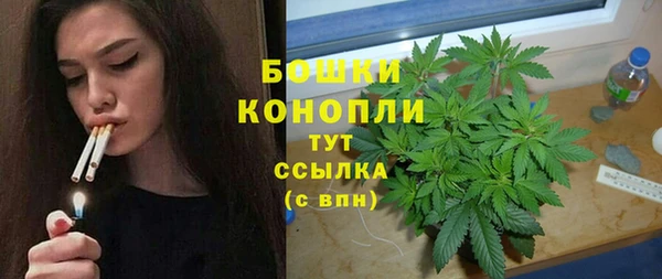 СК Богородицк