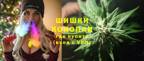 СК Богородицк