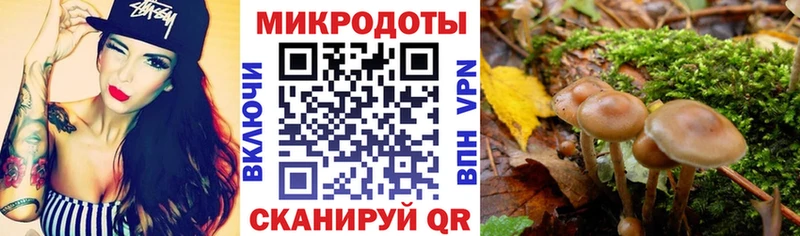 Псилоцибиновые грибы мухоморы  что такое   Дятьково 